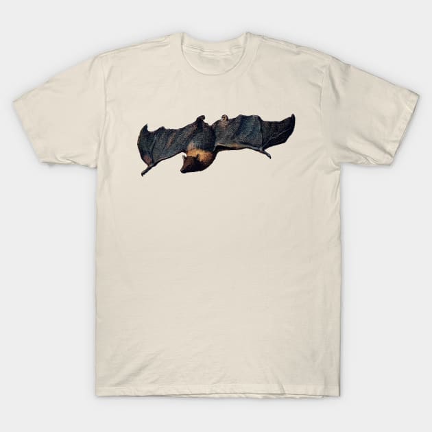 Bat T-Shirt by aimtrue